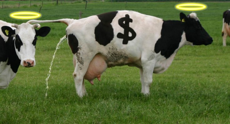 Our economic saviour