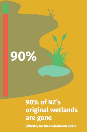 90% of wetlands gone