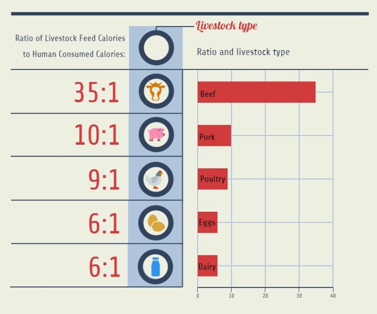 Livestock feed calories to human consumed calories