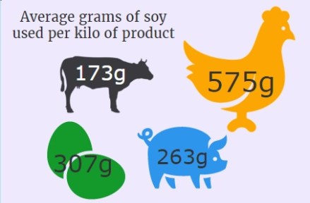 Average grams of soy per kilo of product